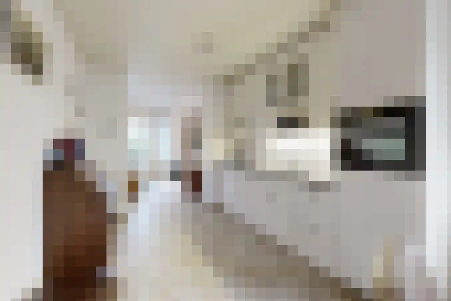 Vrouwe Jacobstraat 7 Fijnaart thumbnail 21