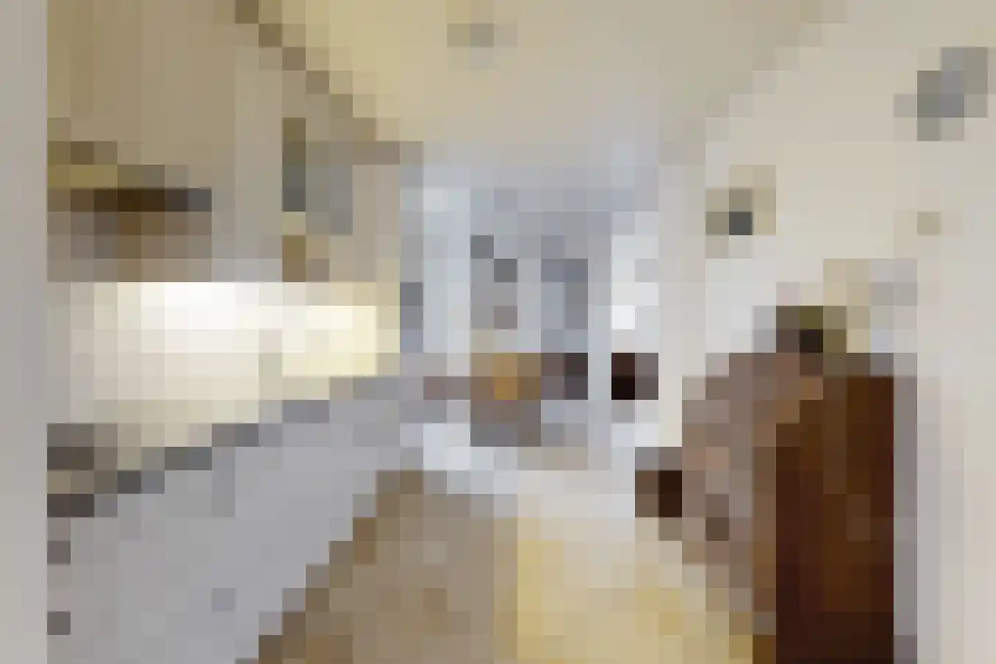 Vrouwe Jacobstraat 7 Fijnaart thumbnail 23