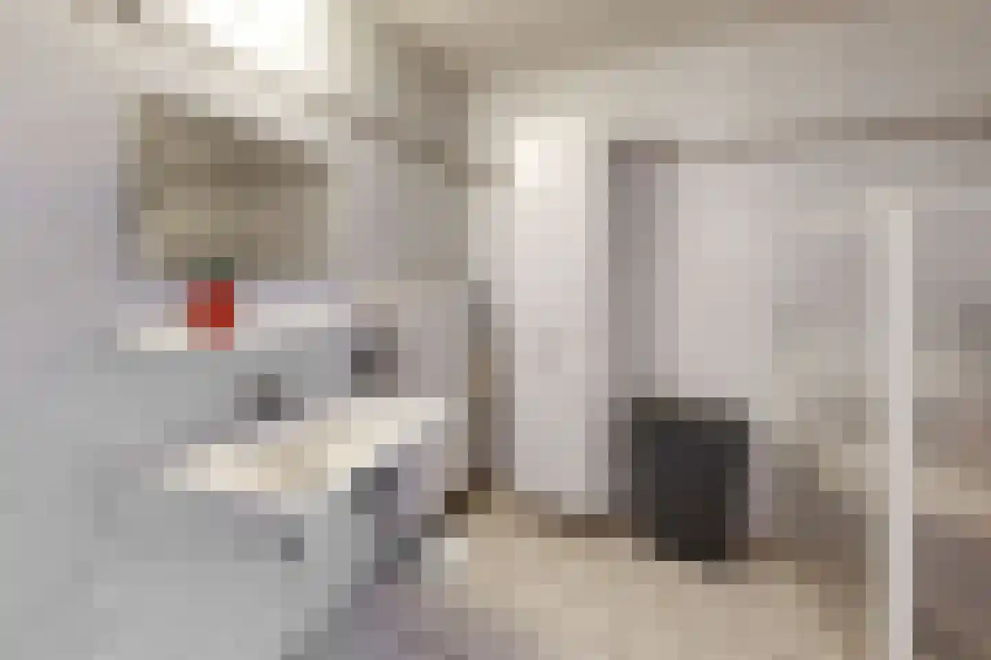 Vrouwe Jacobstraat 7 Fijnaart thumbnail 33