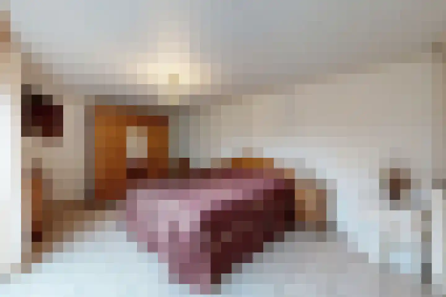 Vrouwe Jacobstraat 7 Fijnaart thumbnail 37