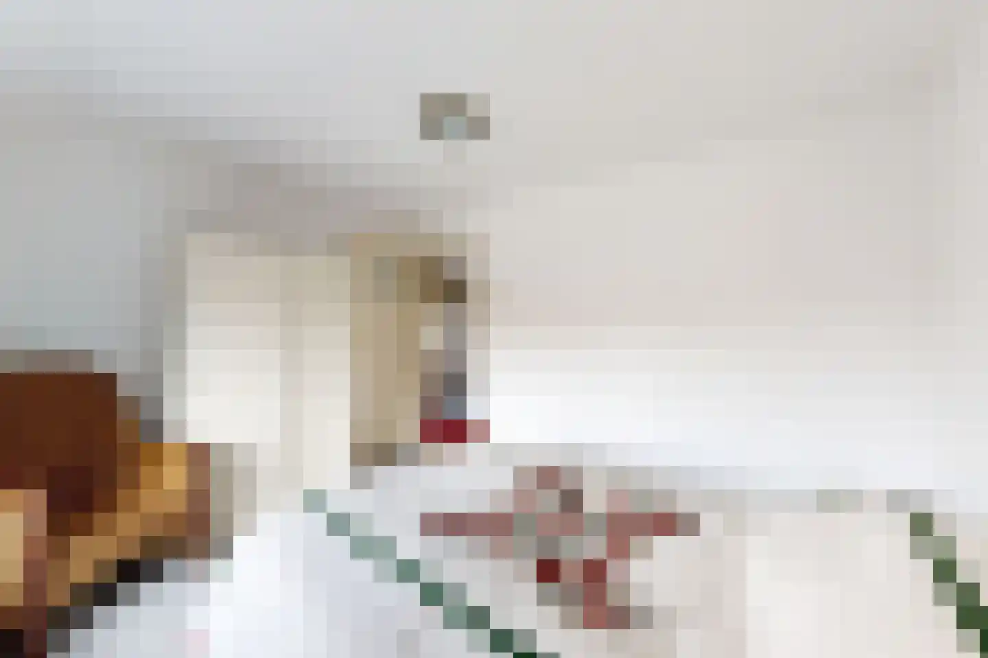 Vrouwe Jacobstraat 7 Fijnaart thumbnail 47