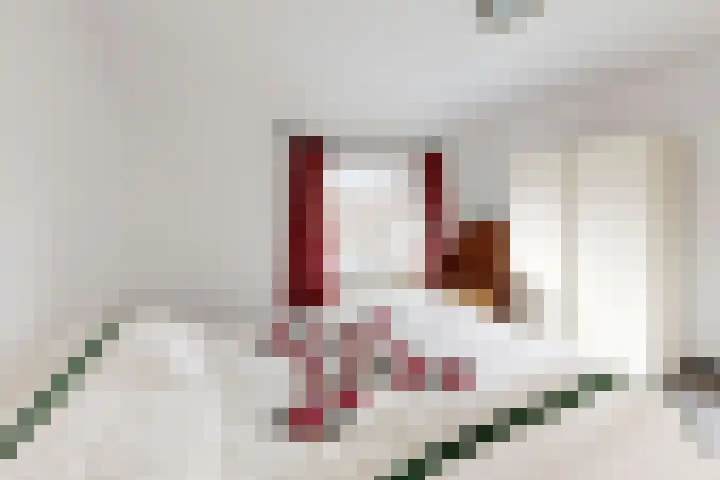 Vrouwe Jacobstraat 7 Fijnaart thumbnail 49
