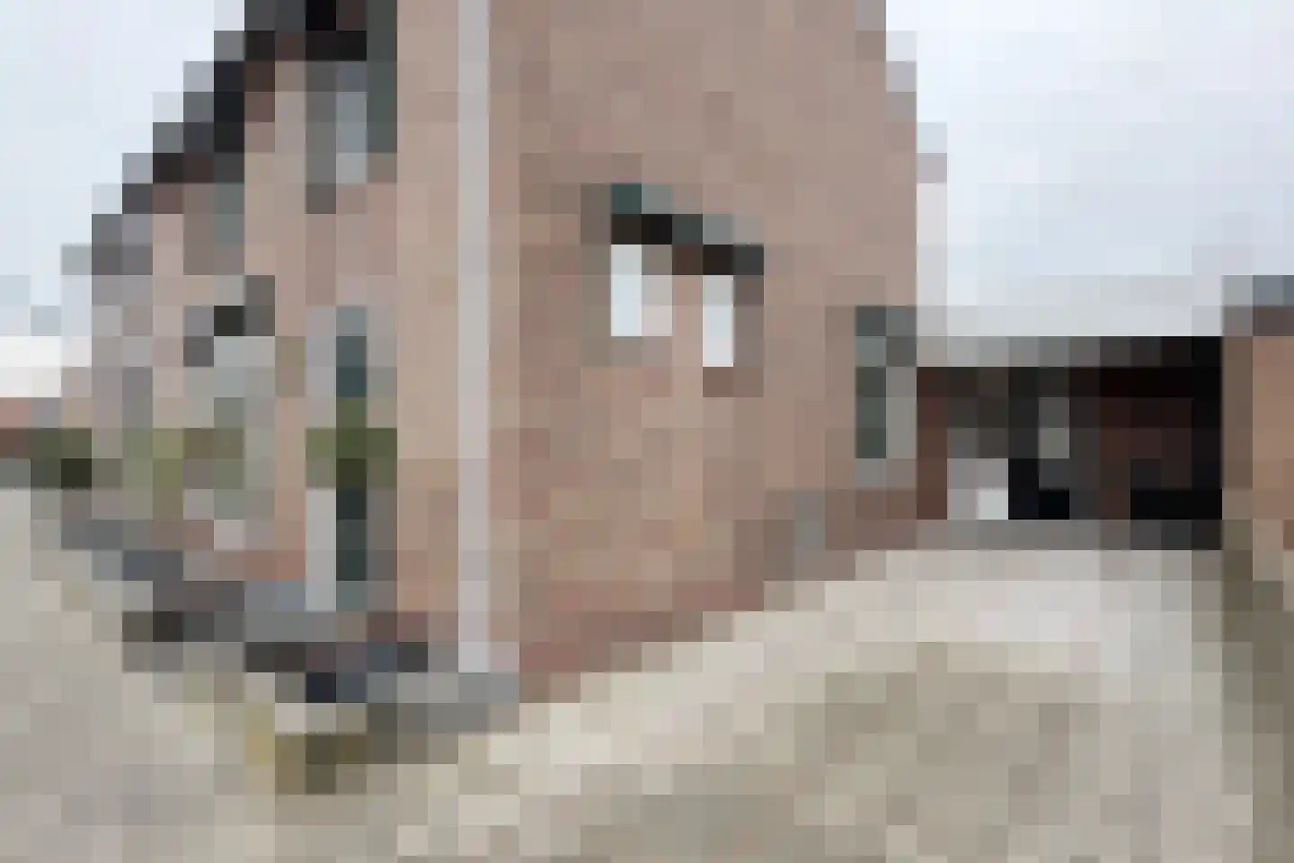 Vrouwe Jacobstraat 7 Fijnaart thumbnail 63