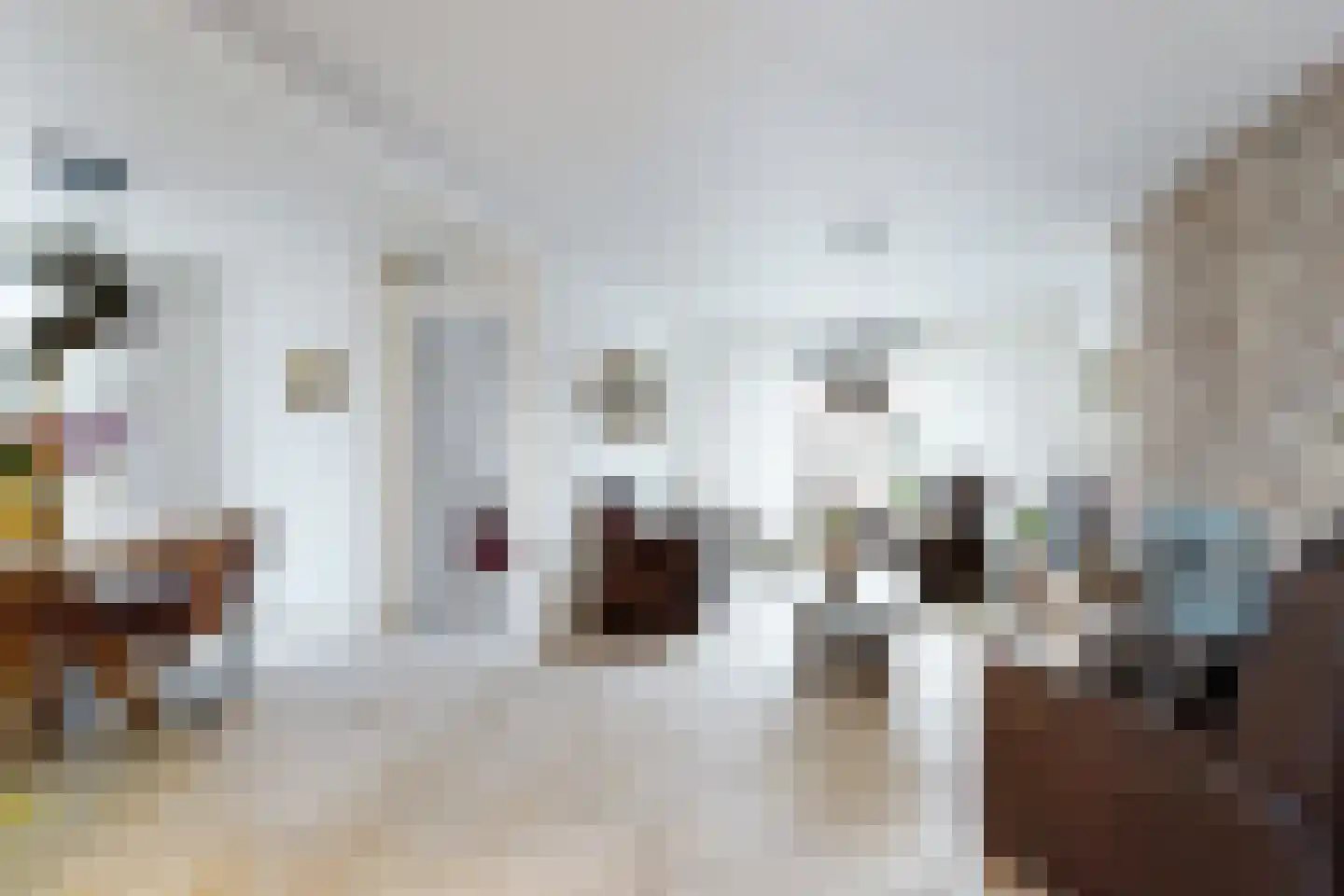 Vrouwe Jacobstraat 7 Fijnaart thumbnail 9