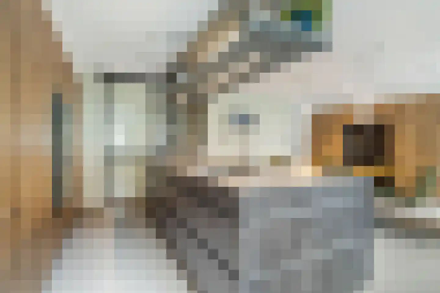 Vrouwe Justitiahof 11 Rotterdam thumbnail 10
