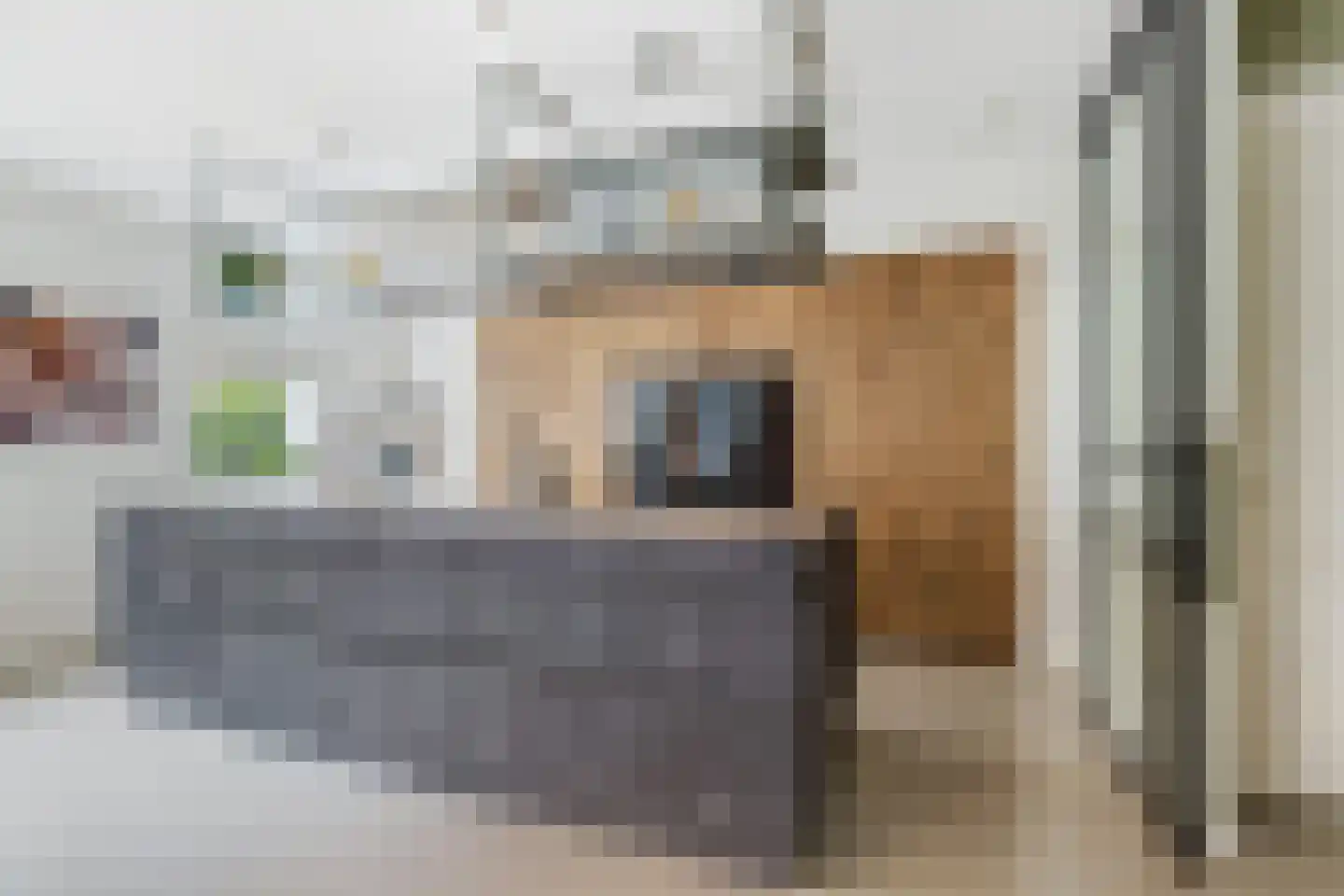 Vrouwe Justitiahof 11 Rotterdam thumbnail 12