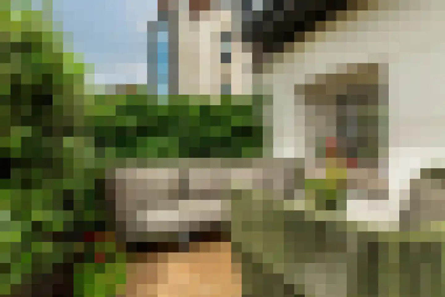 Vrouwe Justitiahof 11 Rotterdam thumbnail 38