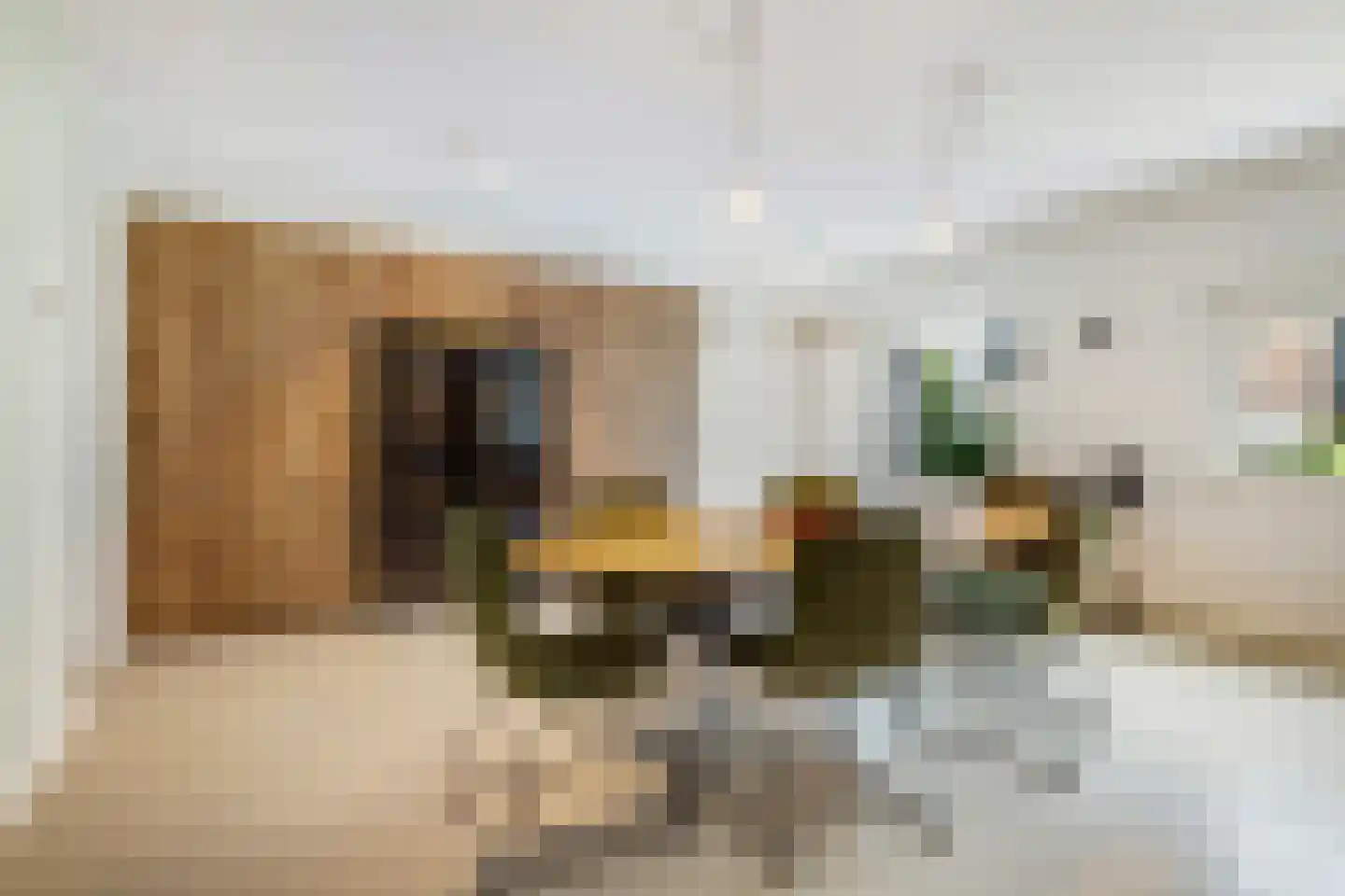 Vrouwe Justitiahof 11 Rotterdam thumbnail 8