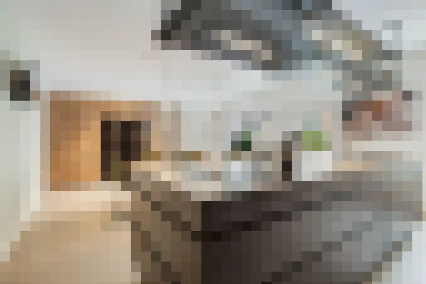 Vrouwe Justitiahof 11 Rotterdam thumbnail 9