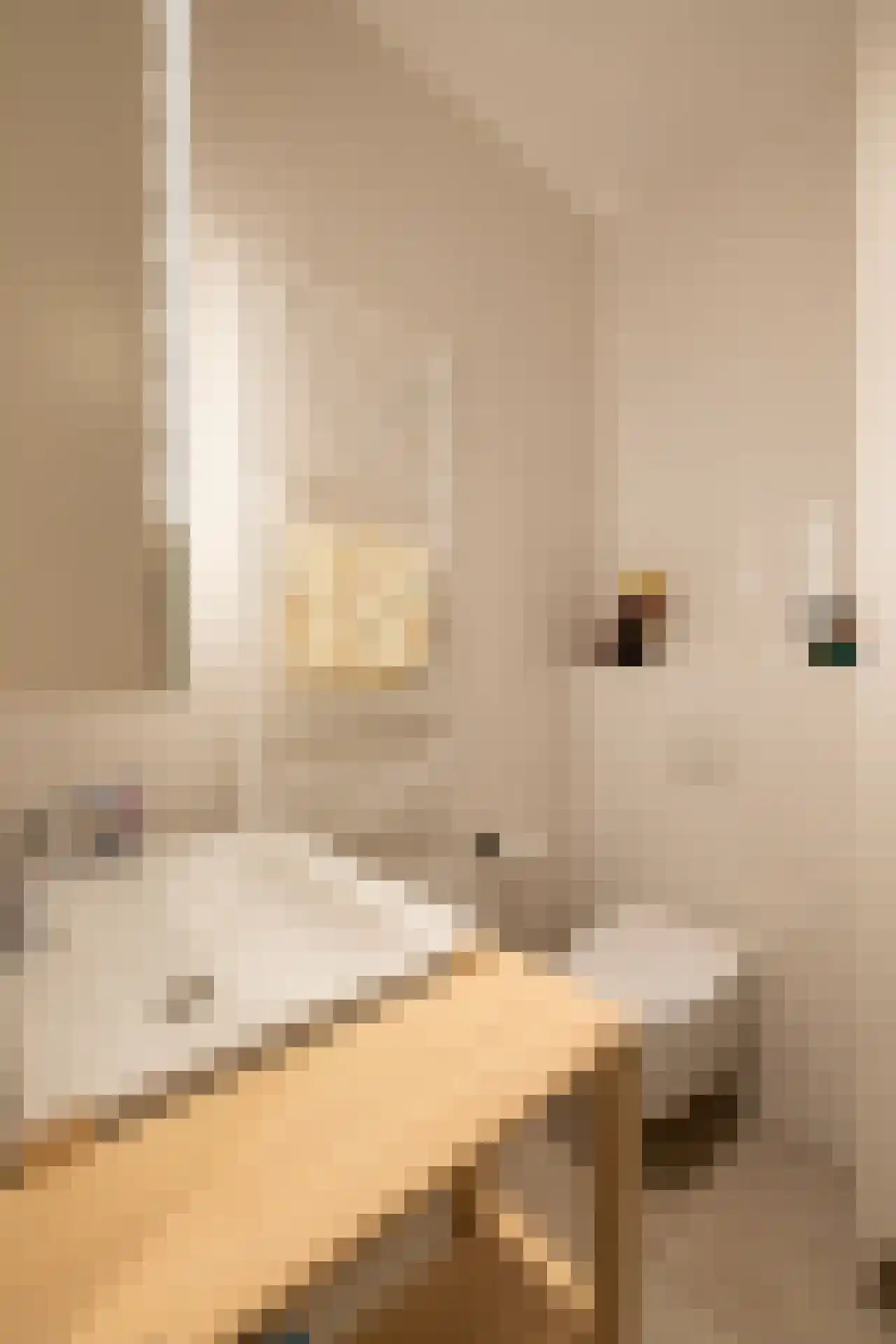 Vrouwe Justitiahof 111 Rotterdam thumbnail 32