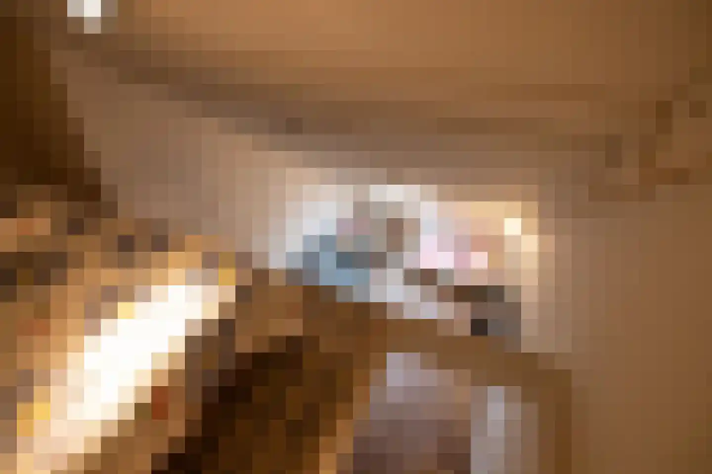 Vrouwe Justitiahof 111 Rotterdam thumbnail 36