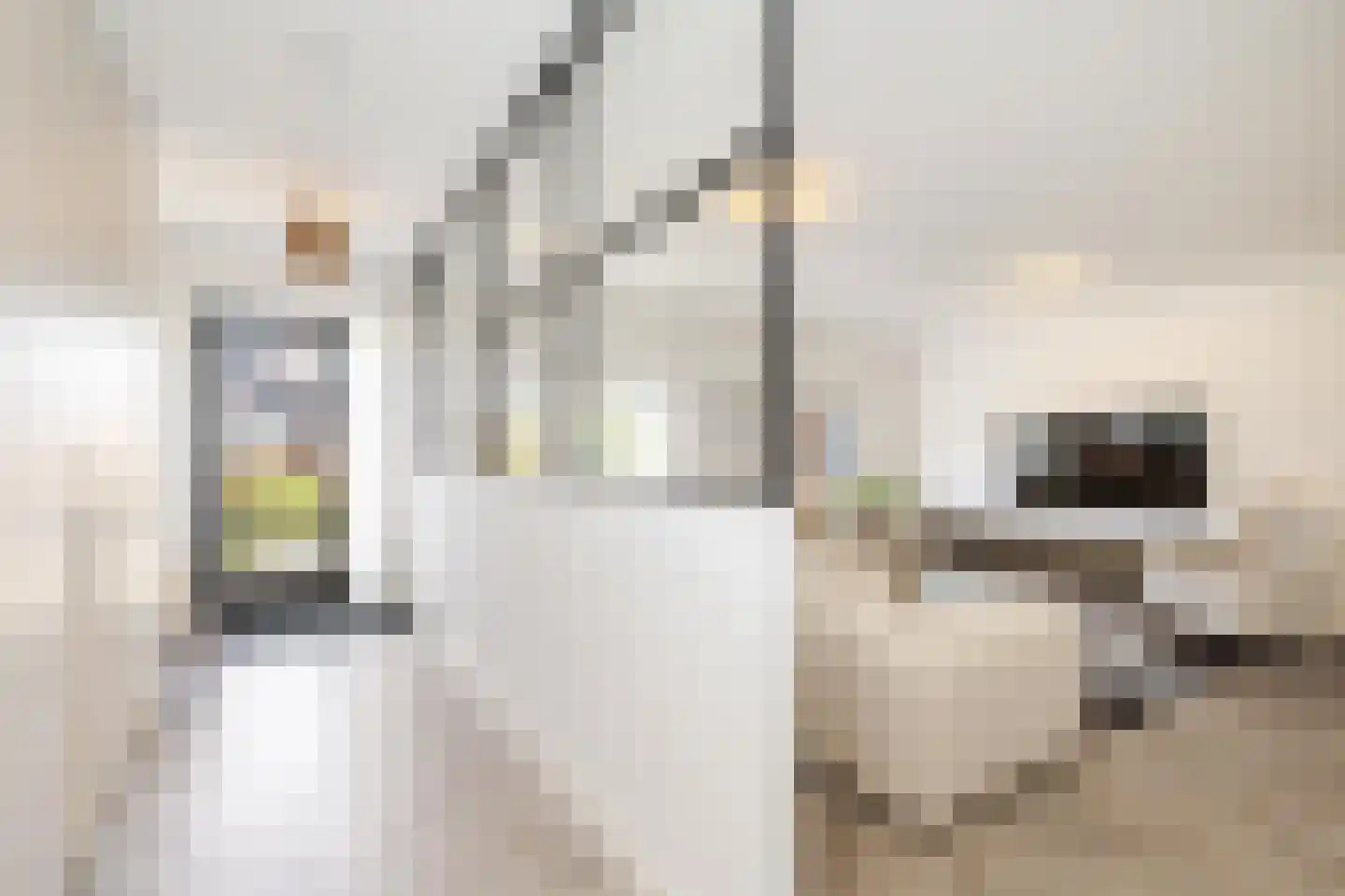 Vrouwe Justitiahof 49 Rotterdam thumbnail 12