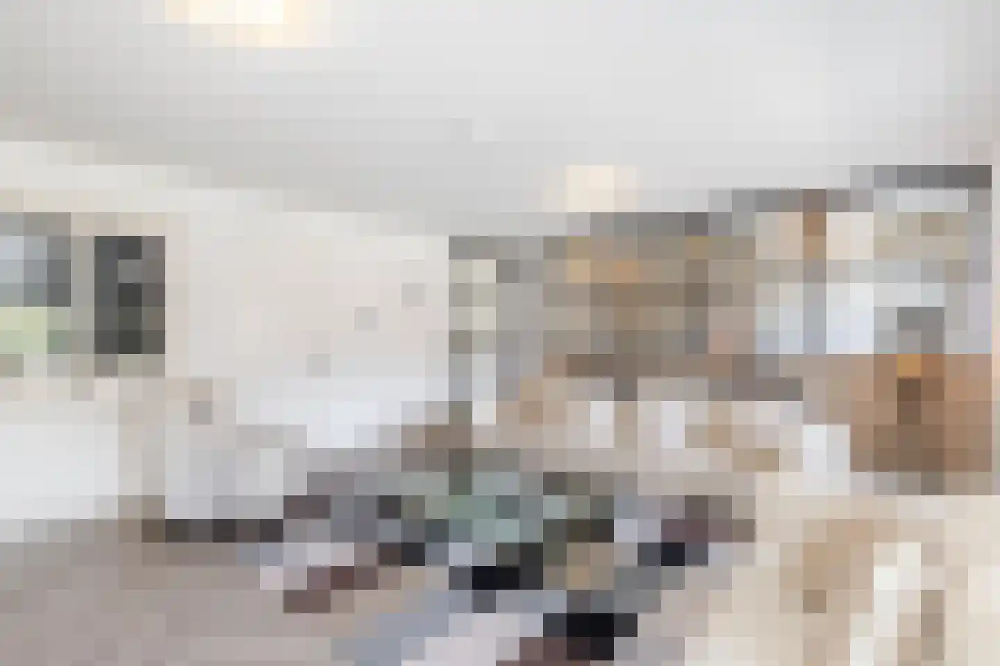Vrouwe Justitiahof 49 Rotterdam thumbnail 15