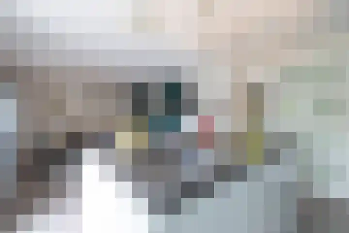 Vrouwe Justitiahof 8 Rotterdam thumbnail 12