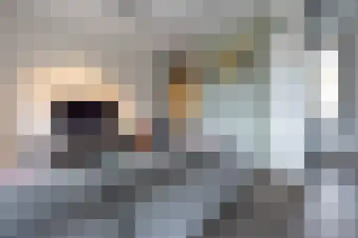 Vrouwe Justitiahof 8 Rotterdam thumbnail 15