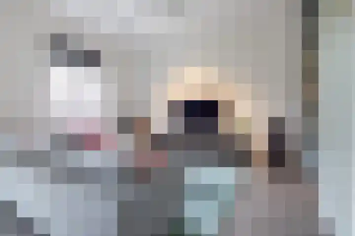 Vrouwe Justitiahof 8 Rotterdam thumbnail 17