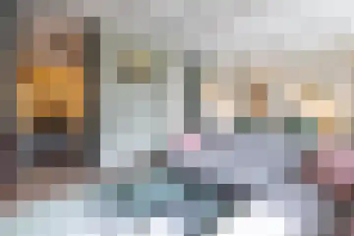 Vrouwe Justitiahof 8 Rotterdam thumbnail 18
