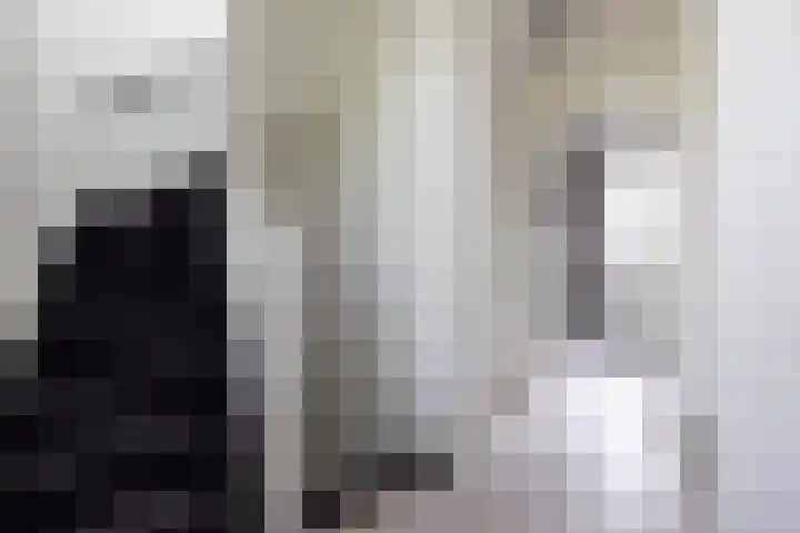 Vrouwe Justitiahof 8 Rotterdam thumbnail 29