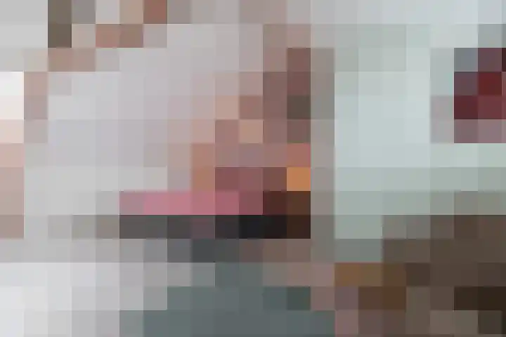 Vrouwe Justitiahof 8 Rotterdam thumbnail 30