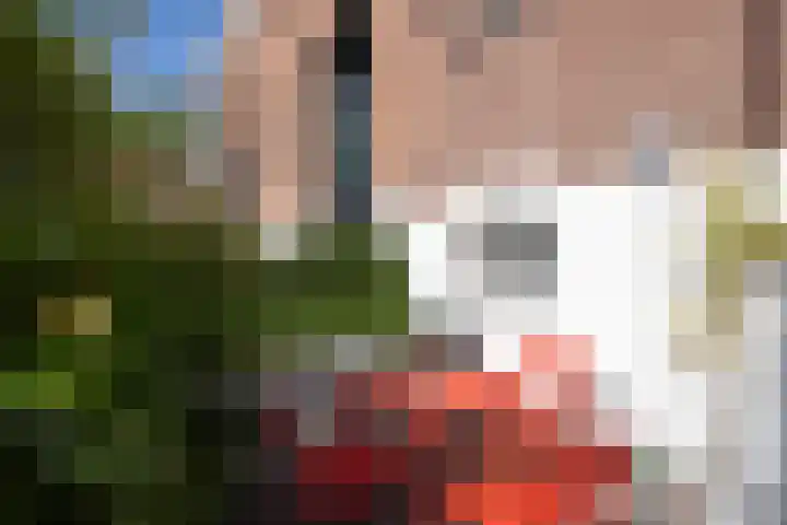 Vrouwe Justitiahof 8 Rotterdam thumbnail 36