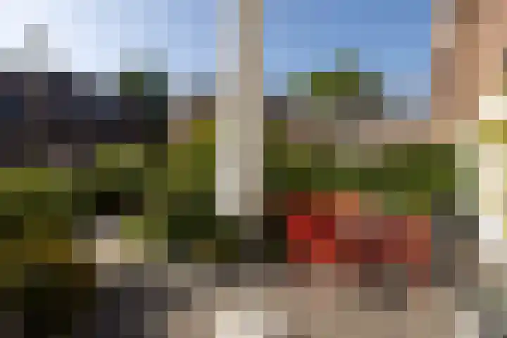 Vrouwe Justitiahof 8 Rotterdam thumbnail 37