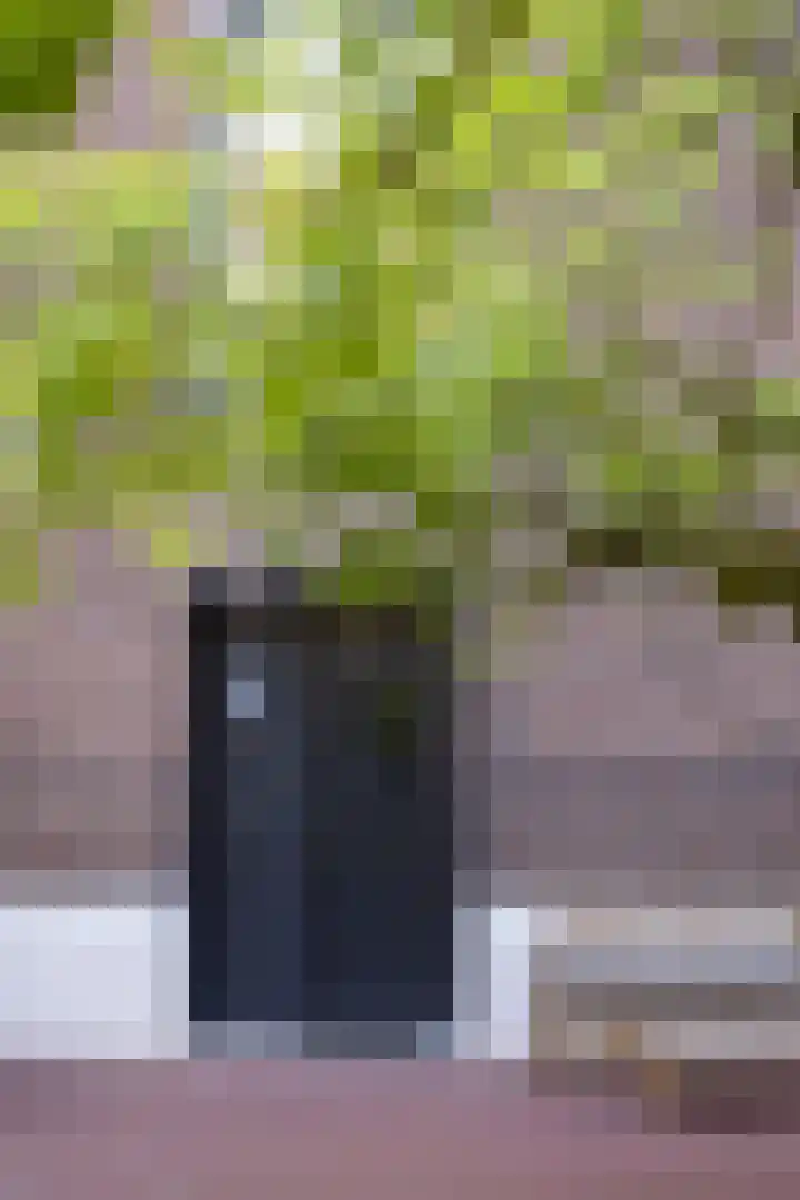 Vrouwe Justitiahof 8 Rotterdam thumbnail 40