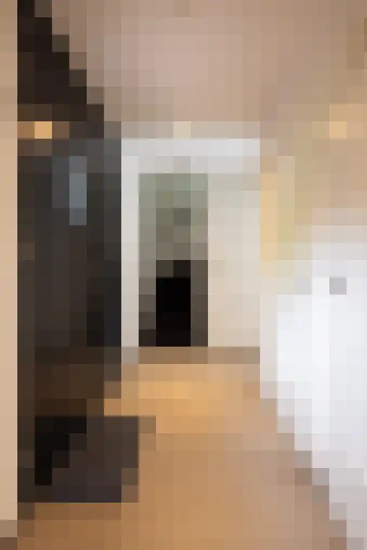 Vrouwe Justitiahof 8 Rotterdam thumbnail 41