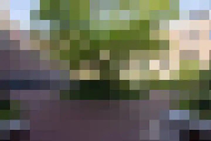 Vrouwe Justitiahof 8 Rotterdam thumbnail 44