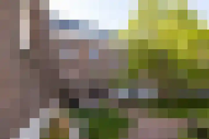 Vrouwe Justitiahof 8 Rotterdam thumbnail 45