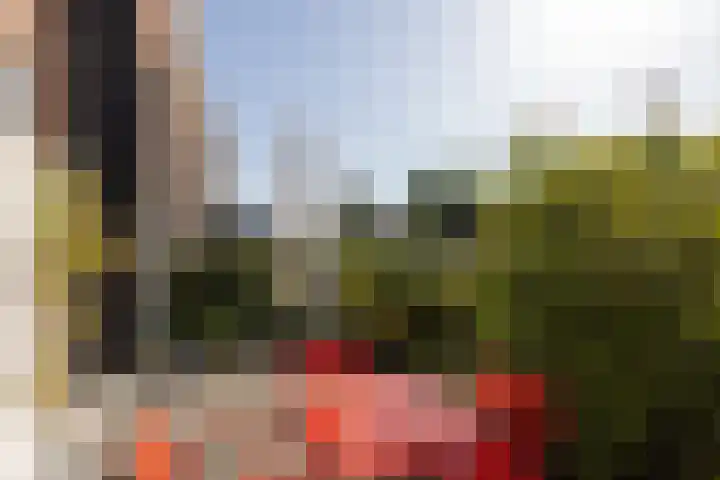 Vrouwe Justitiahof 8 Rotterdam thumbnail 5