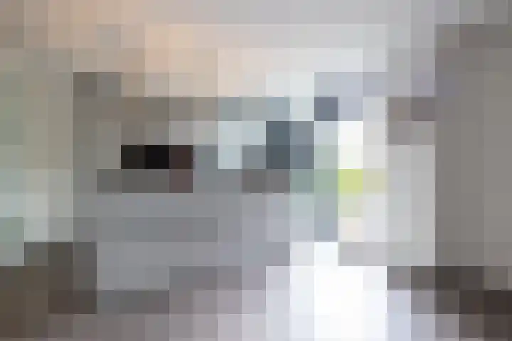 Vrouwe Justitiahof 8 Rotterdam thumbnail 9