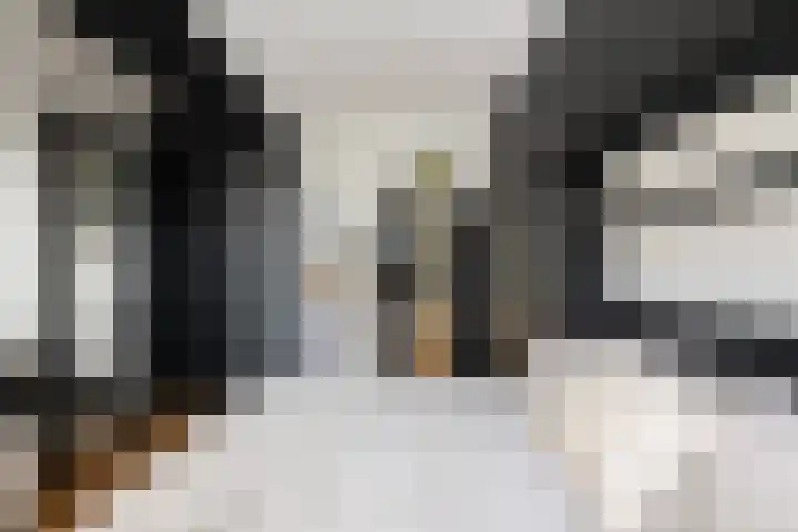 Vrouwe Justitiahof 87 D Rotterdam thumbnail 15