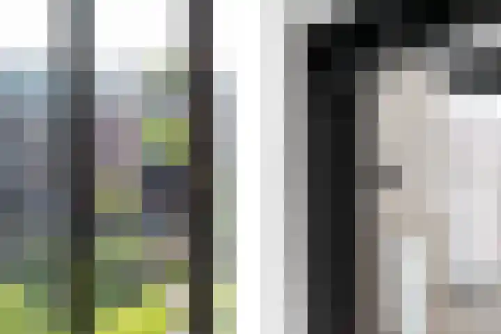 Vrouwe Justitiahof 87 D Rotterdam thumbnail 18