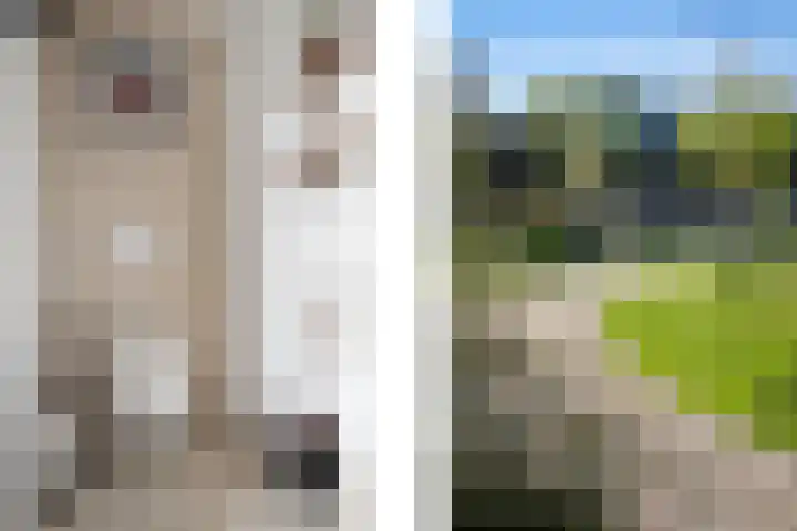 Vrouwe Justitiahof 87 D Rotterdam thumbnail 19