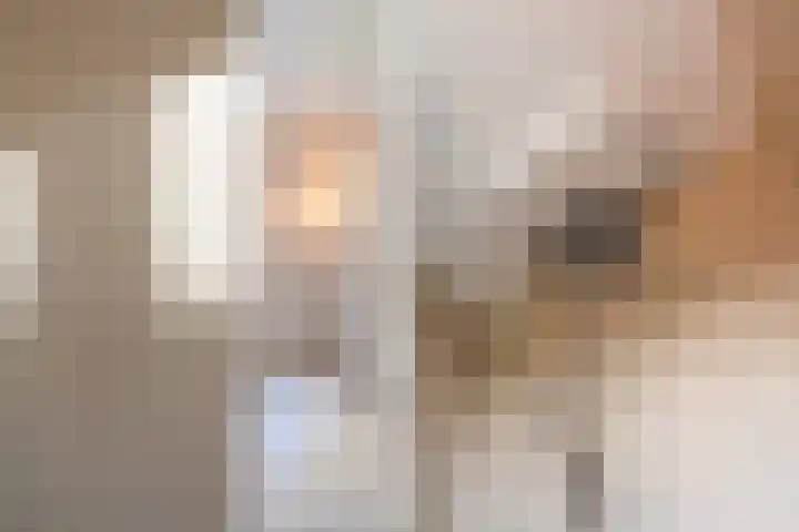 Vrouwe Justitiahof 87 D Rotterdam thumbnail 23