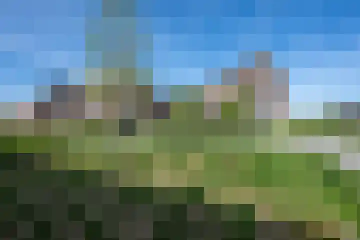Vrouwe Justitiahof 87 D Rotterdam thumbnail 26