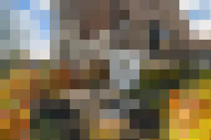 Vrouwe Justitiahof 87 D Rotterdam thumbnail 27