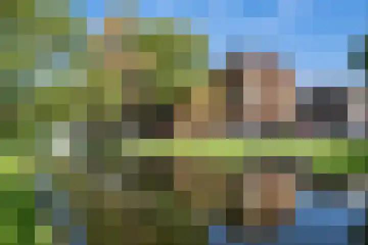Vrouwe Justitiahof 87 D Rotterdam thumbnail 27