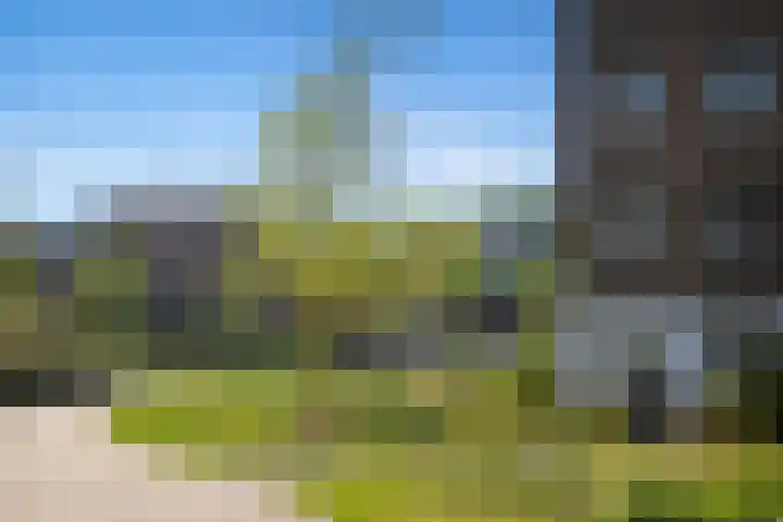 Vrouwe Justitiahof 87 D Rotterdam thumbnail 28