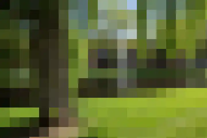Vrouwe Justitiahof 87 D Rotterdam thumbnail 30