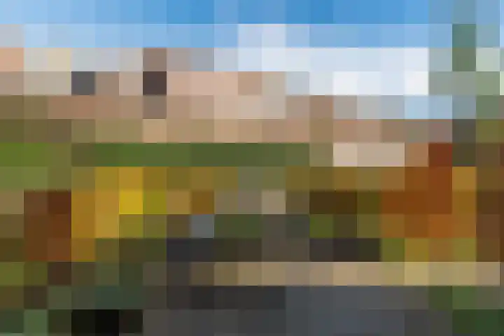 Vrouwe Justitiahof 87 D Rotterdam thumbnail 30
