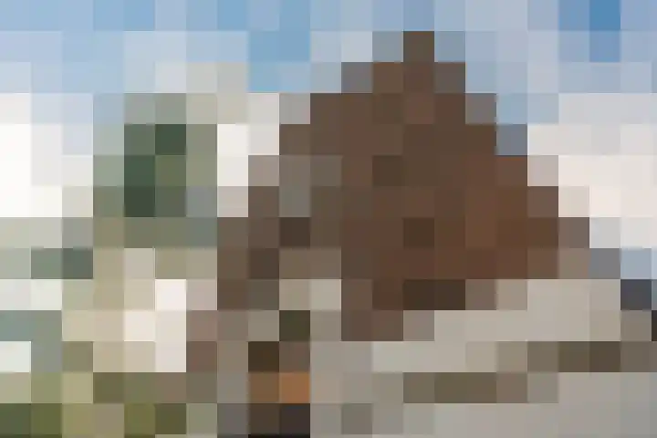 Vrouwe Justitiahof 87 D Rotterdam thumbnail 33