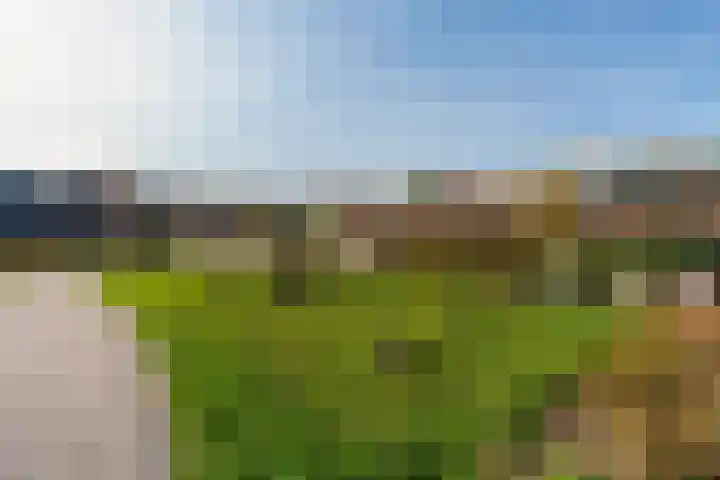 Vrouwe Justitiahof 87 D Rotterdam thumbnail 37