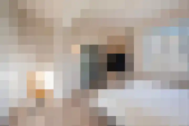 Vrouwe Justitiahof 87 D Rotterdam thumbnail 5