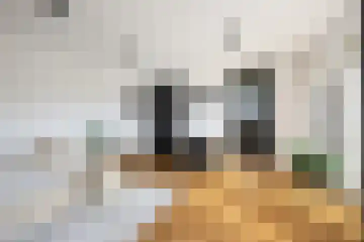 Vrouwe Justitiahof 87 D Rotterdam thumbnail 6
