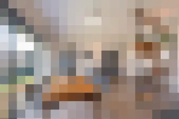 Vrouwe Justitiahof 87 D Rotterdam thumbnail 8