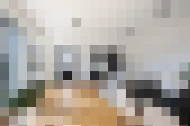 Vrouwe Justitiahof 87 D Rotterdam thumbnail 9