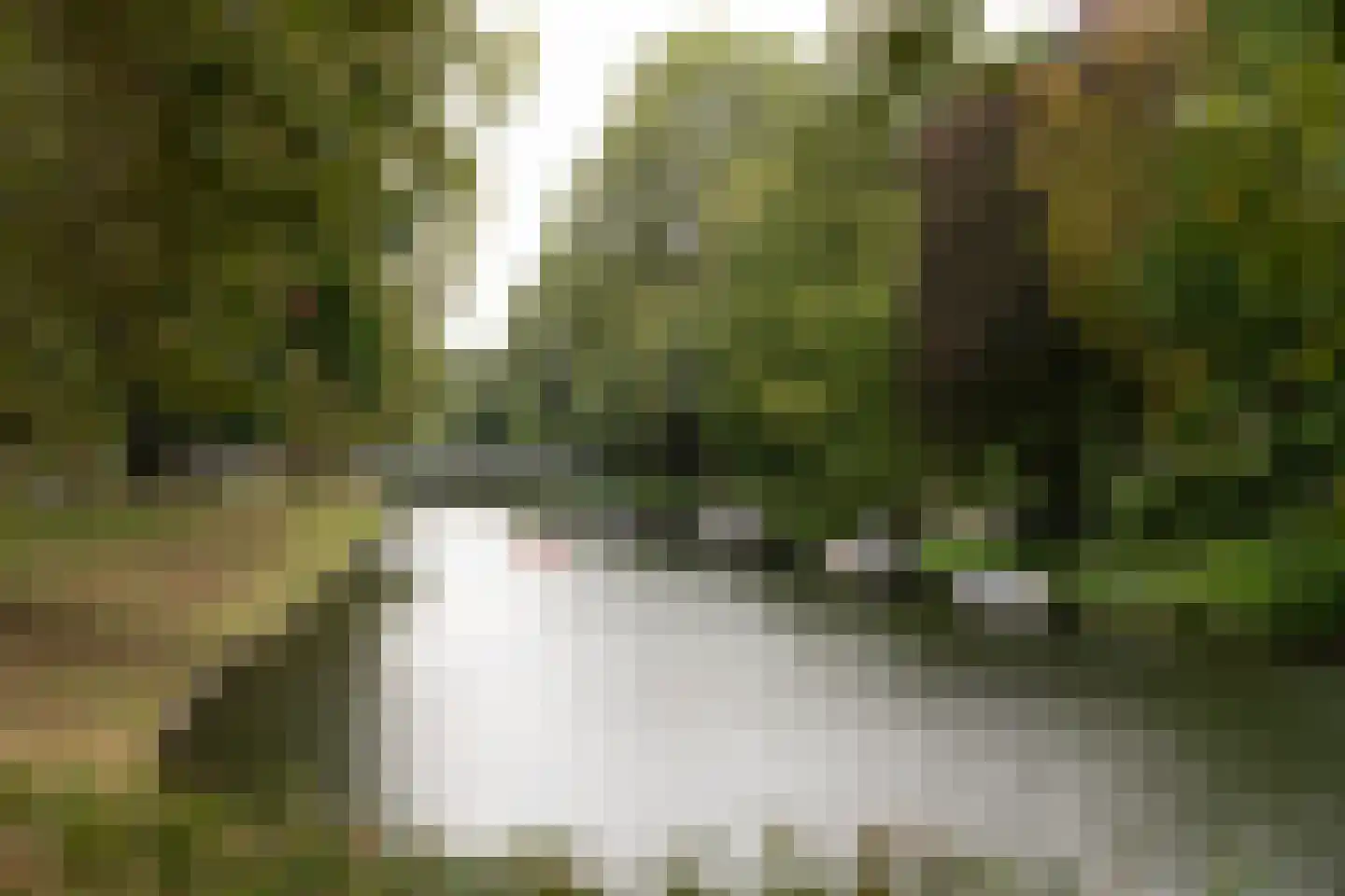 Vrouwe Justitiaplein 22 Utrecht thumbnail 45