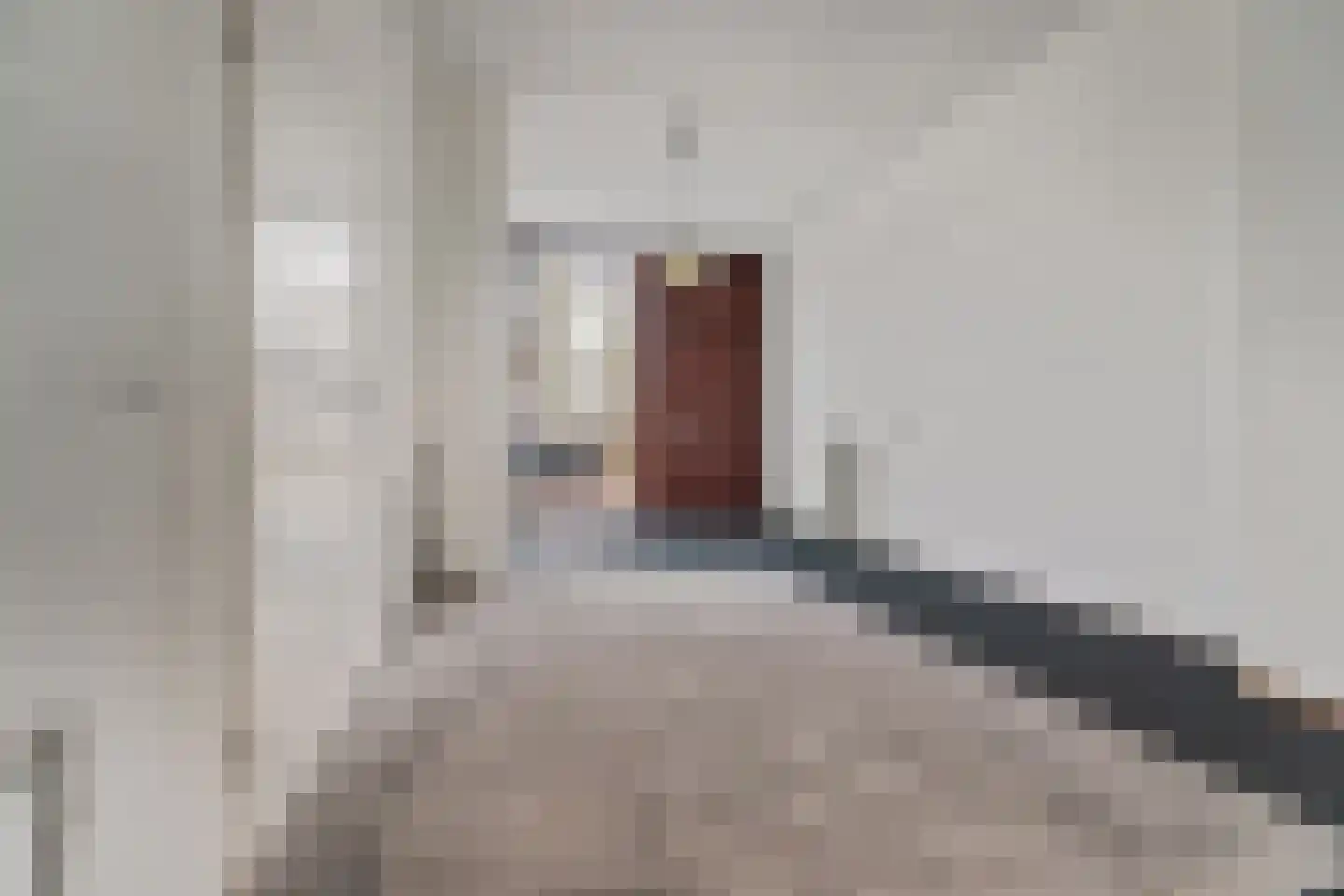 Vrouwe Udasingel 236 Lent thumbnail 14