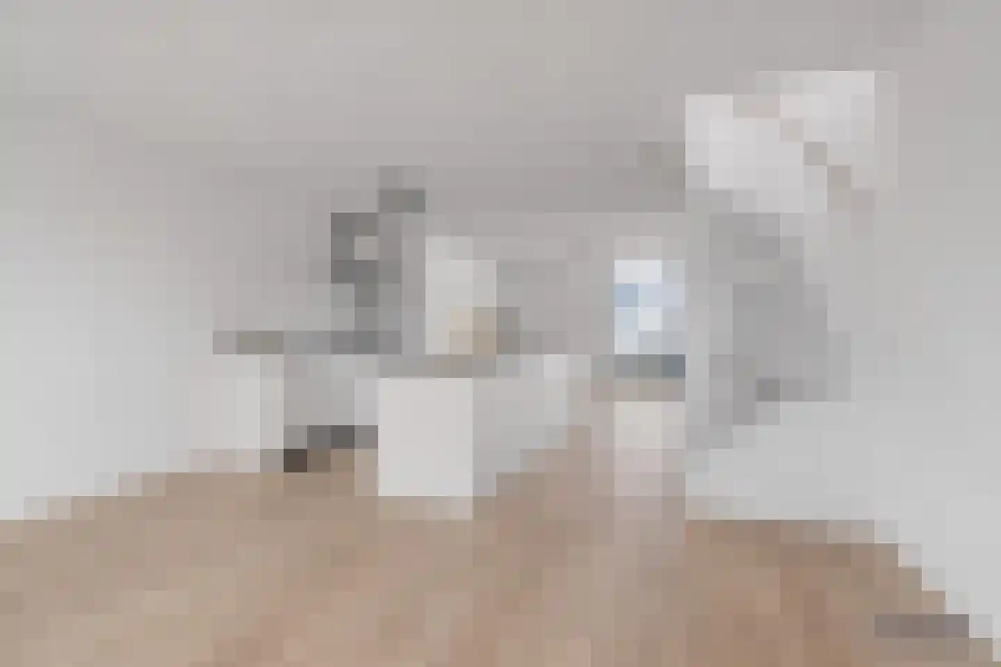 Vrouwe Udasingel 236 Lent thumbnail 17